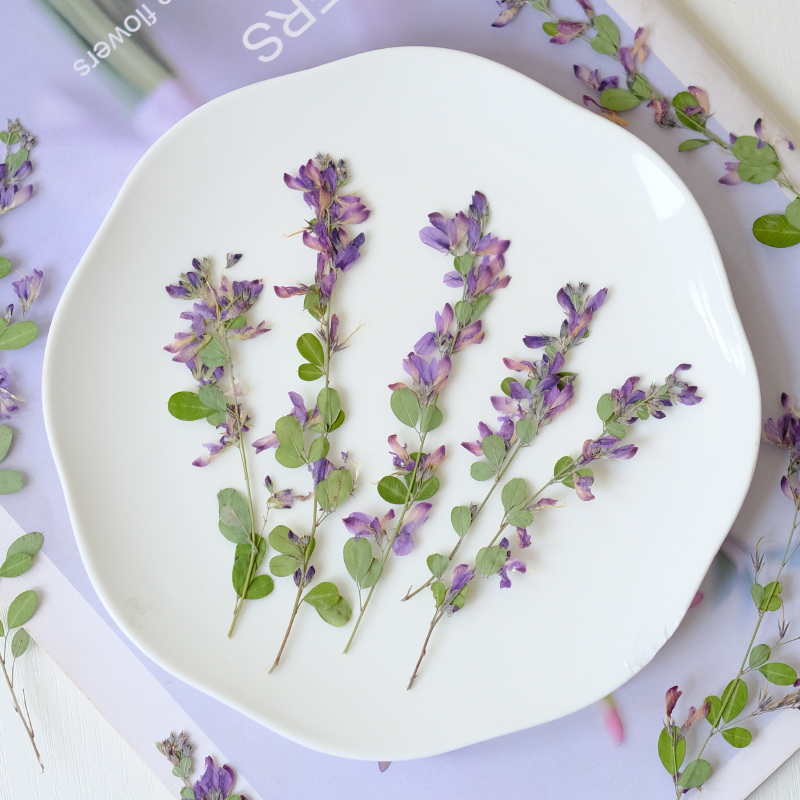 6pcs,nature Lespedeza Formosa  - Resin Art And Jewelry review and price