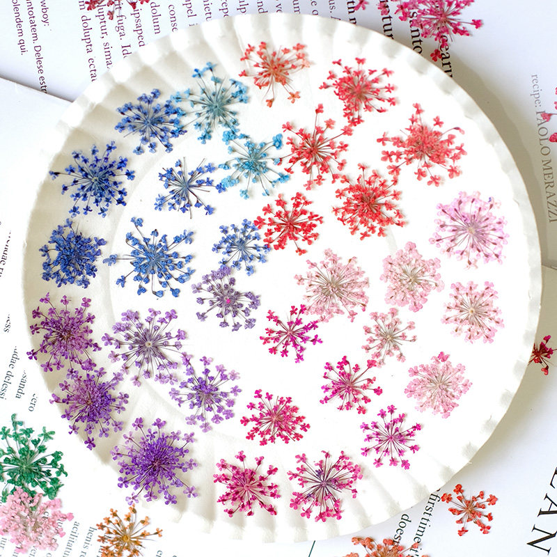 24pcs, 2-2.5cm, Nature Dyed Mi - Resin Art And Jewelry review and price
