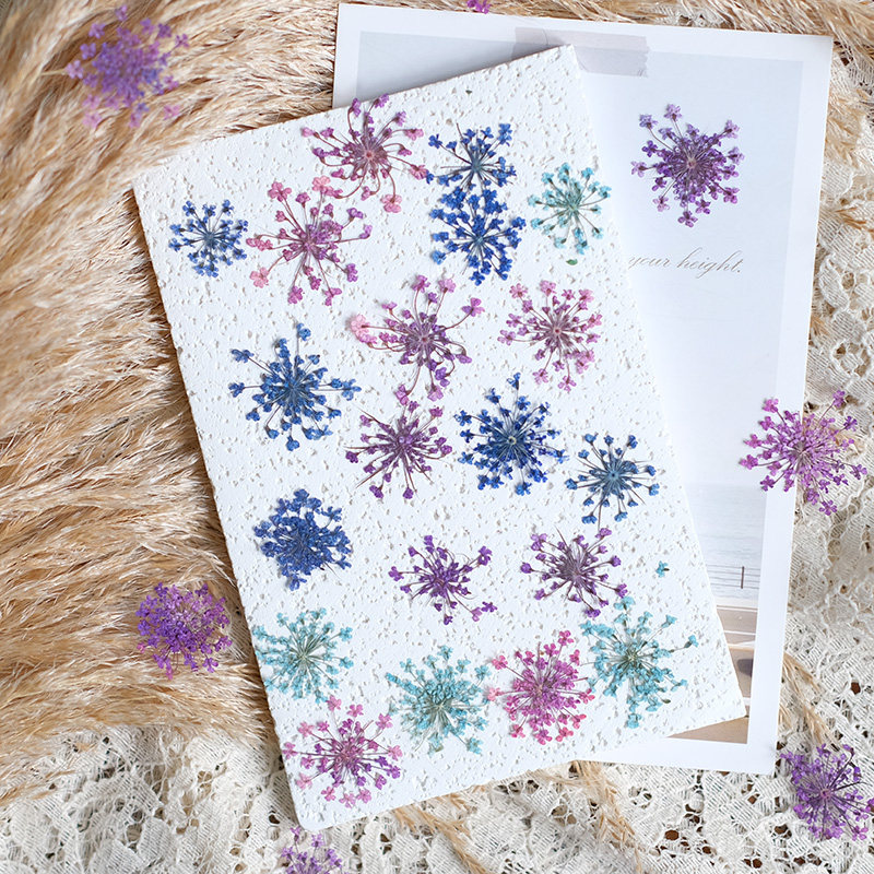 24pcs, 2-2.5cm, Nature Dyed Mi - Resin Art And Jewelry review and price